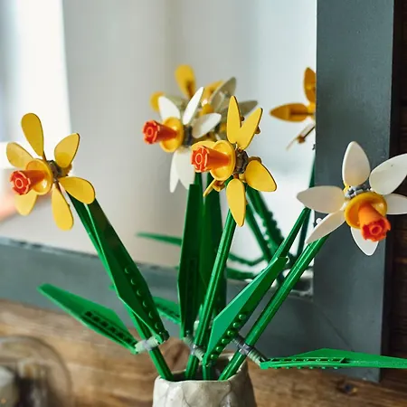 Debinowka بيت للعطل