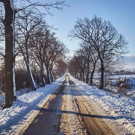 Debinowka بيت للعطل