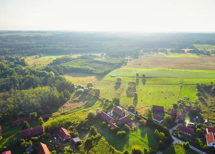 Debinowka * Wilczeta