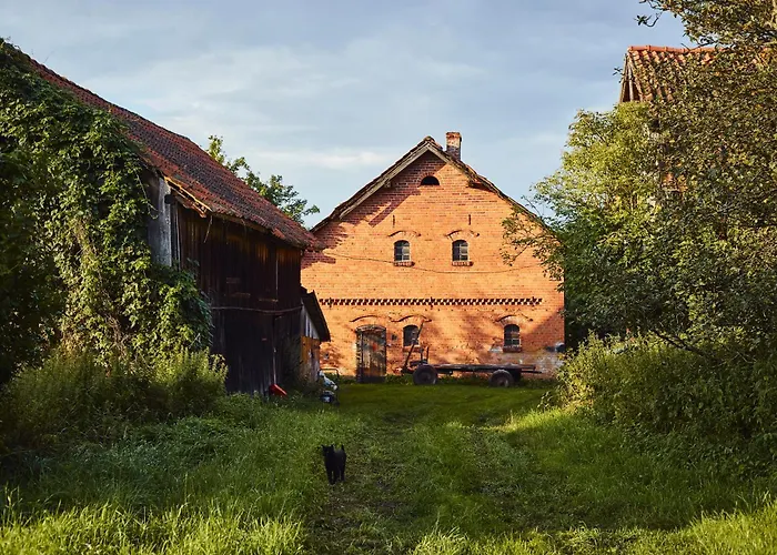 بيت للعطل Debinowka Wilczeta