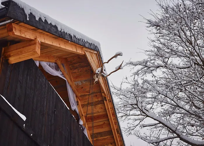 Debinowka بيت للعطل