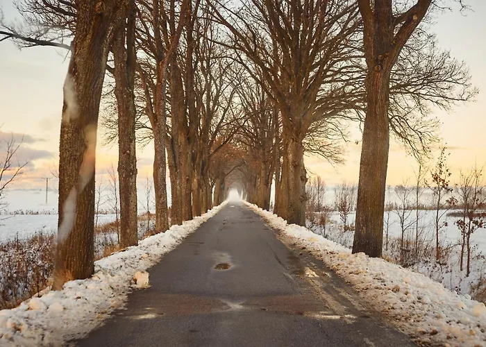 Debinowka بيت للعطل Wilczeta