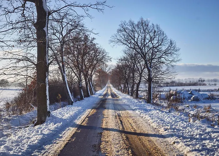 Debinowka بيت للعطل